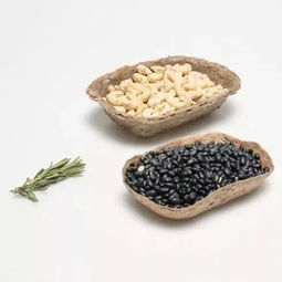 綠色革命新浪潮 那些讓你大開(kāi)眼界的植物提取環(huán)保黑科技