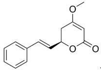 高品質天然卡瓦提取物 植物提取物領域的純凈之選