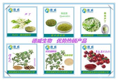 番瀉葉提取物 功效、市場價格與西安產業概況